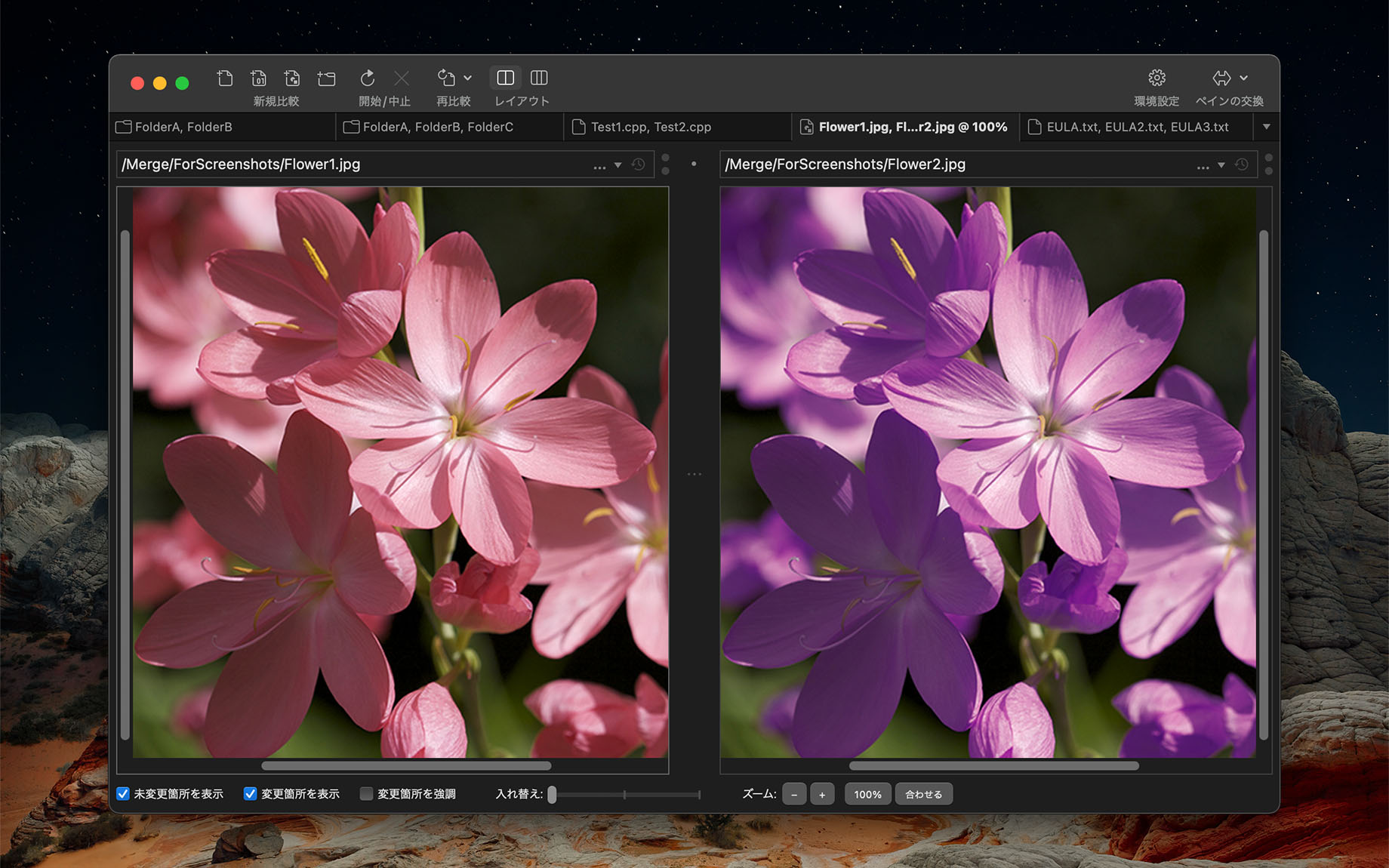 2 者間のイメージ比較(Merge for macOS)
